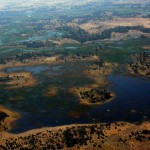 Okavango-Delta-Botswana-080